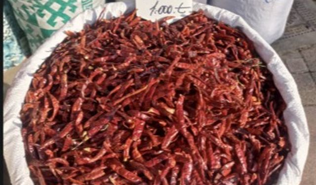 Eskişehir'de fiyatıyla dikkat çekiyor: Bin TL'ye satılıyor!