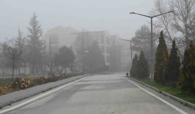 Eskişehir beyaza büründü: Sabah sisi trafiği etkiledi!