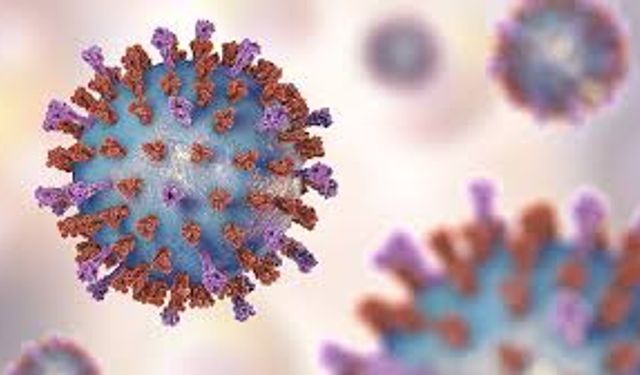 Rsv enfeksiyonu bebekler ve yaşlılar için ciddi risk oluşturuyor