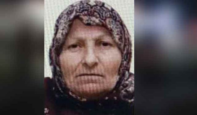 Bilecik'te kayboldu, sevindiren haber geldi