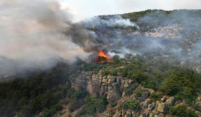 Seyitgazi yangınına ilişkin takipsizlik kararına itiraz!