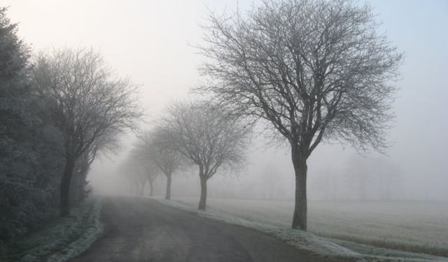 Eskişehir’de bugün pus ve sis etkili olacak