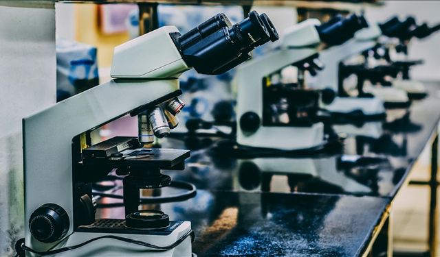 Yapay zekâ odaklı, kişiye özel tedavilerde yeni adım!