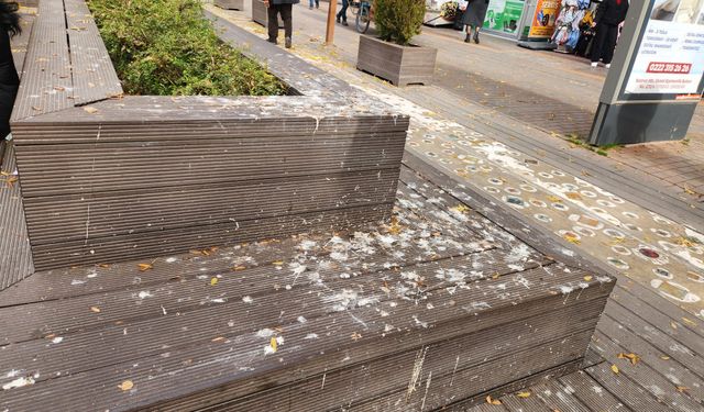 Eskişehir Hamamyolu'na yakışmayan görüntü!