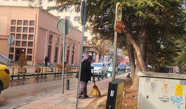 Eskişehir'de düzenli temizlik çalışmaları kente nefes aldırıyor!