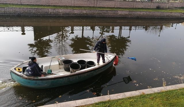 Eskişehir'de belediye ekiplerinden sonbahar temizliği!