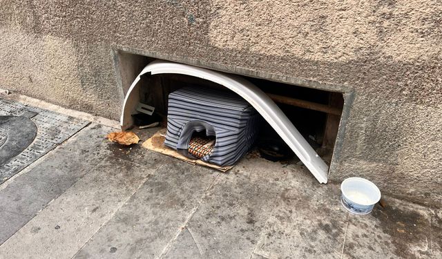 Eskişehir'de soğuk havada can dostlara özel ilgi