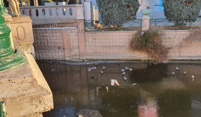 Eskişehir'de eksi 12 derecede Porsuk Çayı dondu