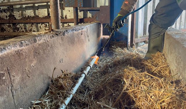 Eskişehir’de aşırı soğuk: Besicileri susuz bıraktı