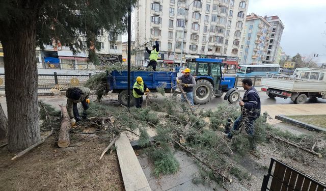 Fırtına Kütahya’yı vurdu: Ağaçlar yollara devrildi!
