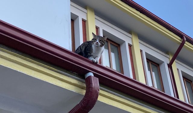 Eskişehir Tren Garı’nın aynı numarayla yeniden ortaya çıktı!