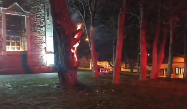 Eskişehir’de kültürel değere saldırı: Ağaç kundaklandı!