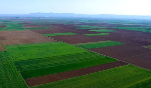 Doğa Platformu'ndan Esence Altın-Gümüş Madeni Projesine tepki