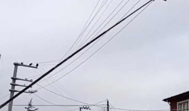 Şiddetli rüzgar Seyitgazi’de tehlike saçtı