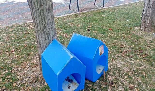 Eskişehir’de sokak hayvanları için duyarlı hareket