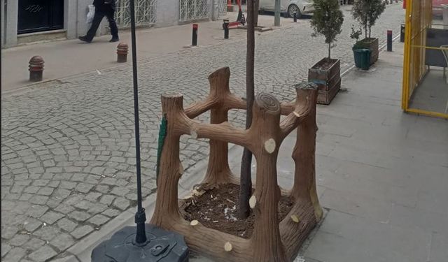 Eskişehir’de genç ağaçlar için çevreci düzenleme