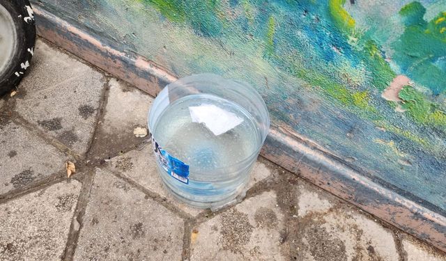 Eskişehir'de dondurucu soğuk tehlikesi: Hayvanlar suya ulaşamıyor!