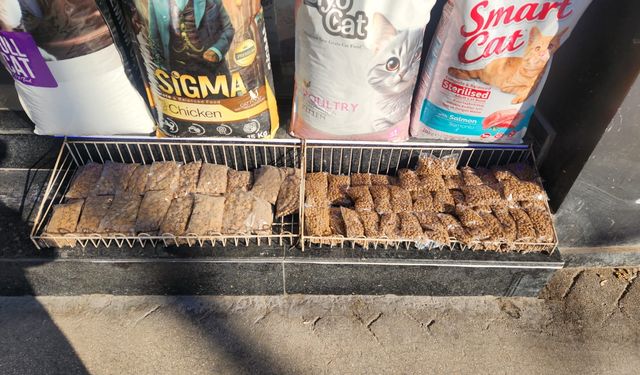 Eskişehir soğuklarında sokak hayvanları için kritik adım!