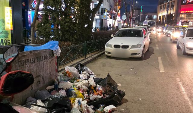 Eskişehir'de pes dedirten görüntü: Vatandaş isyan etti!