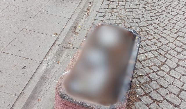 Eskişehir'de çevre hiçe sayıldı: Çöplüğe döndürdüler!