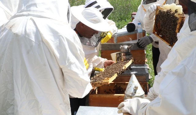 Eskişehir'deki eğitimin kayıtları başlıyor: Başvuru şartları neler?