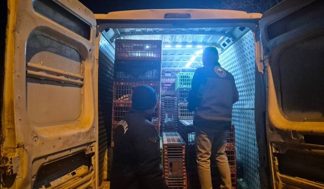 Bozüyük’te belgesiz kanatlı hayvan sevkiyatına ceza!
