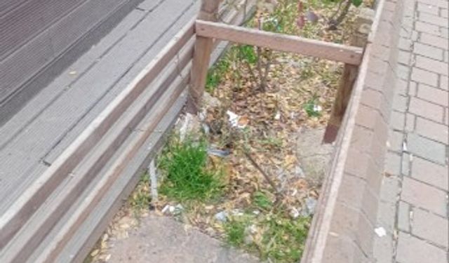 Eskişehir'de yeşil alanda utandıran görüntü!