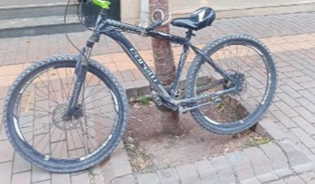 Eskişehir'de dikkat çeken görüntü: Bisiklet ağaca kilitlendi!