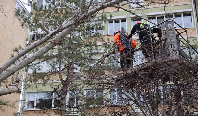 Eskişehir'in işlek caddesinde kış temizliği!