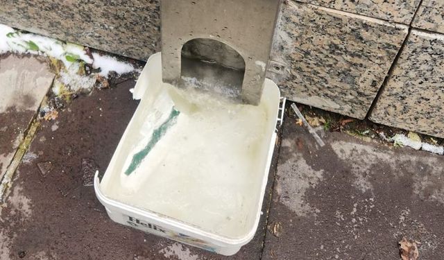 Eskişehir’de dondurucu soğuk sokaktaki canları zorluyor