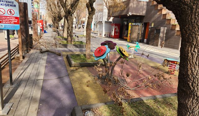 Eskişehir’in en işlek caddesinde ekipler çevre için sahaya indi!