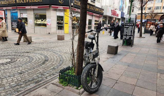 Bisikletini ağaca zincirleyenler dikkat: Zarar veriyor!