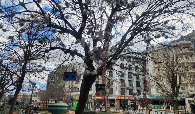Eskişehir Adalar’da kuş dostu çalışma takdir topladı