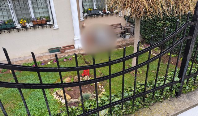 Eskişehir'de bahçesine öyle bir şey koydu ki görenler korkuyor!