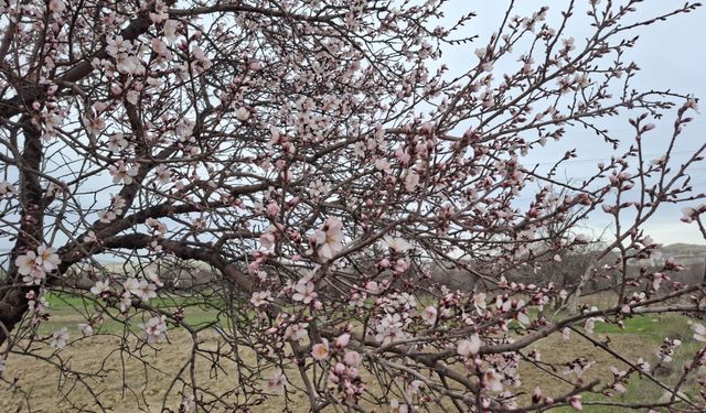 Eskişehir hava durumunda aldatan sıcaklık!