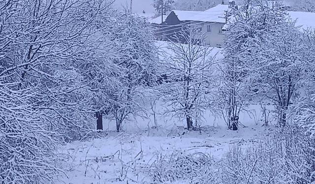 Bayram sabahına beyaz örtüyle uyandılar!