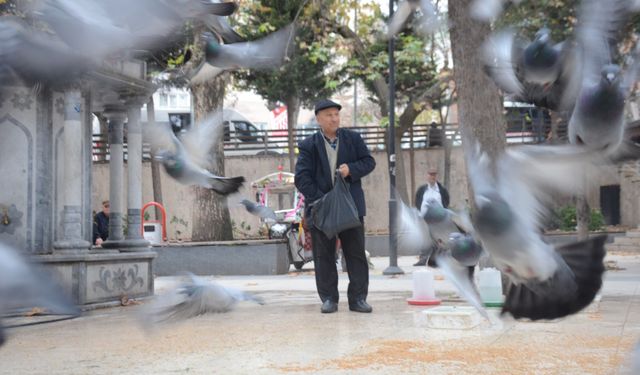 Bilecik'te her gün besliyor, bayramda da koşarak geldi