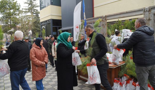 Eskişehir'de 4 bin fidan toprakla buluşacak