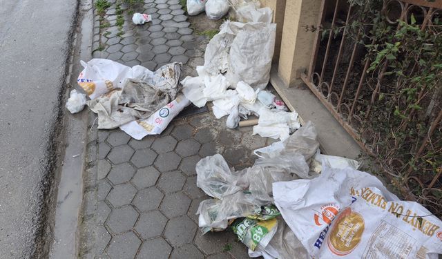 Eskişehir' yakışmayan görüntü: Çöplük gibi kullandılar!