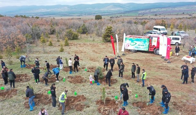 Mihalıççık’ta 100 fidan toprakla buluştu