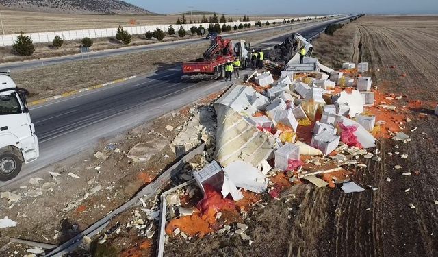 Devrilen tırda 27 ton havuç çevreye saçıldı!