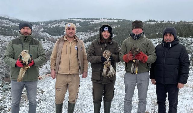 Eskişehir Hayvanat Bahçesi yaralı kuşları doğaya saldı