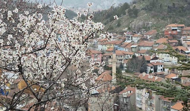 Kütahya'da badem ağaçları baharı müjdeledi!