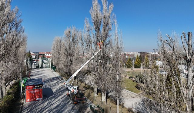 Eskişehir Sazova Parkına gidecekler dikkat: 2 hafta sürecek!