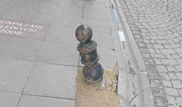 Eskişehir'de duyarsız sürücüler çevreye zarar veriyor!