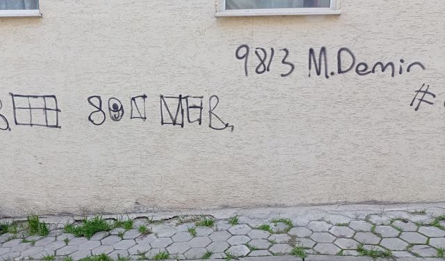 Eskişehir'de izinsiz yazılar tepki çekiyor