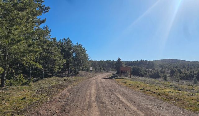 Eskişehir'de spor yaparken ölümden döndü!