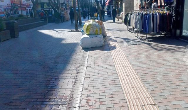 Eskişehir'de kaldırım ortasında alışıldık engel!