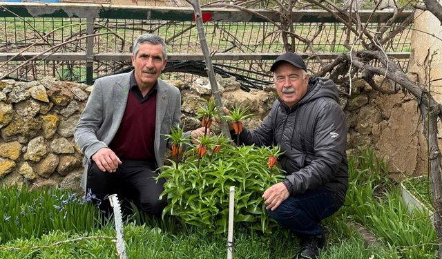 Eskişehir'de de yetişiyor: Koparana cezası servet değerinde!