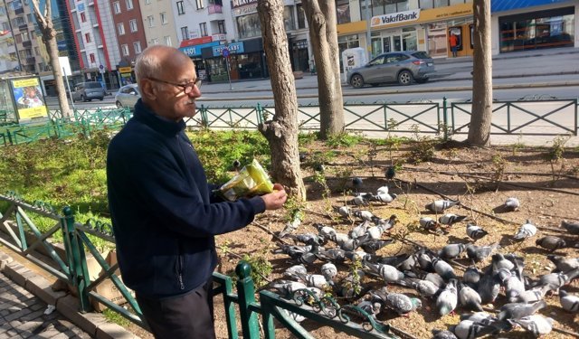 Eskişehir'de çay ocağının maskotu güvercinler oldu